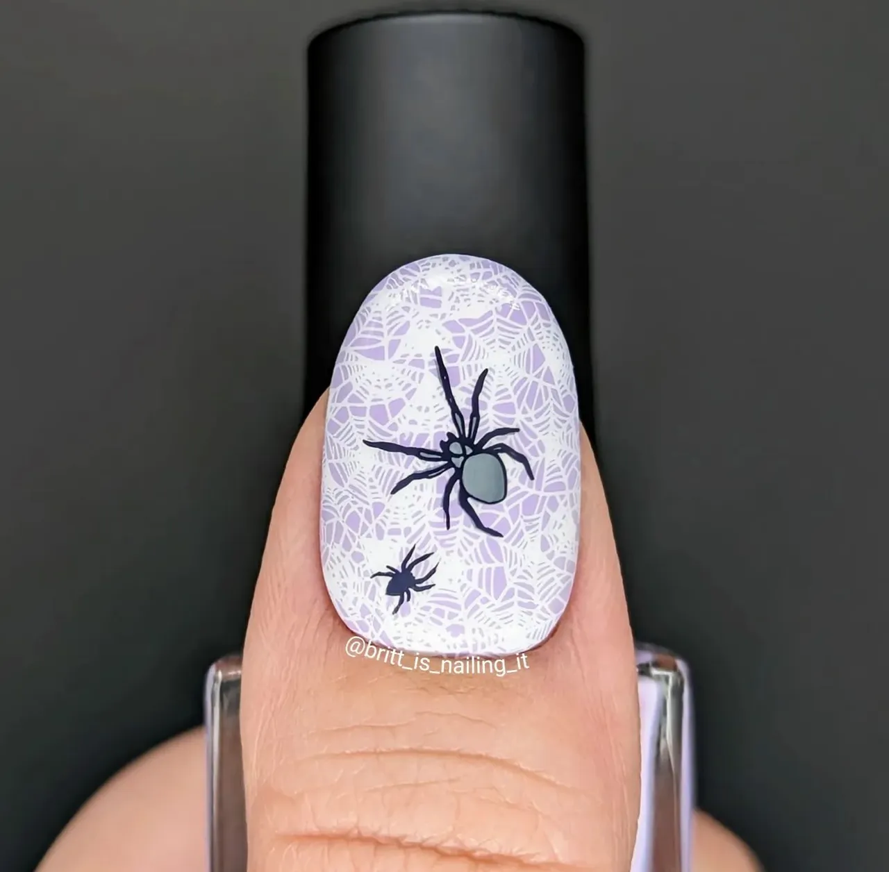 Boho Halloween (CjSH-74) Steel Nail Art Stamping Plate