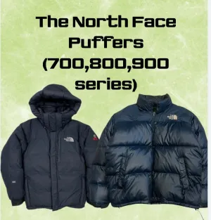 The north face puffers (700,800,900 series ) -20 pieces